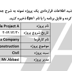 MS Project Practical